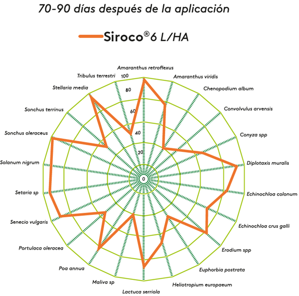 aplicación Siroco 70-90 días